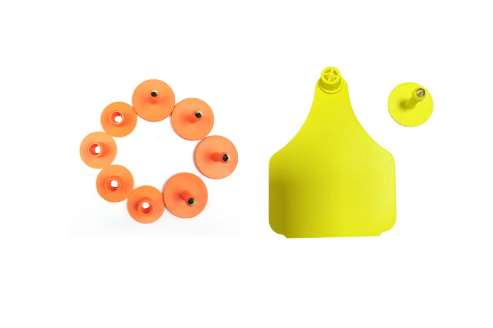 Állati RFID címkék