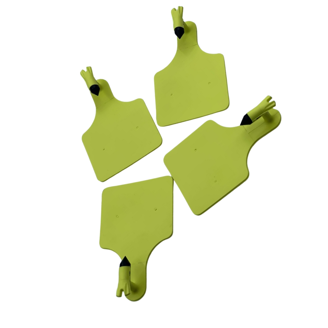 Βοοειδή Ετικέτες Βοοειδή Ετικέτες